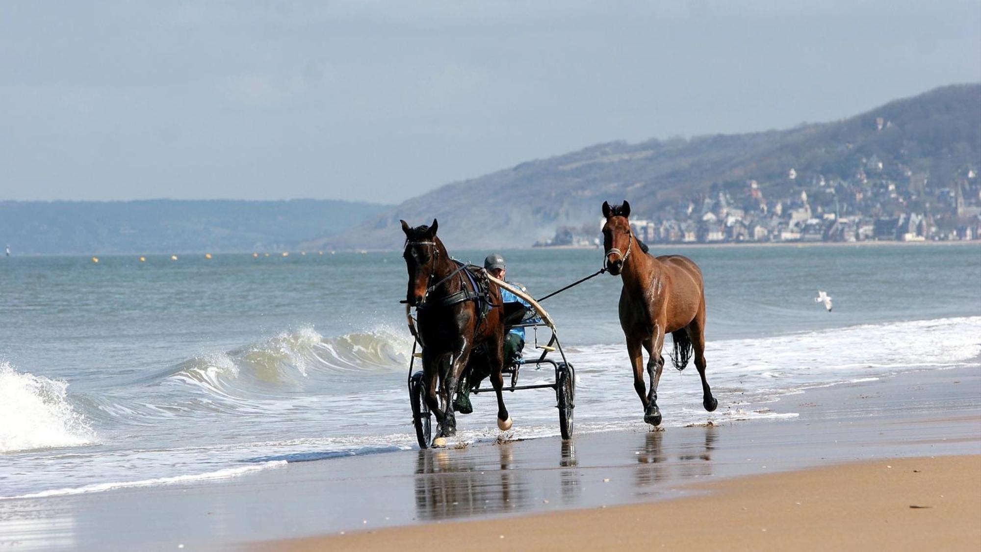 Le Nid De Plage A 100 M De La Mer Cabourg Eksteriør bilde